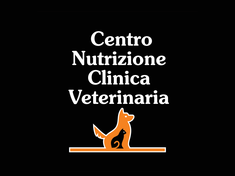 Logo francesco benincasa
